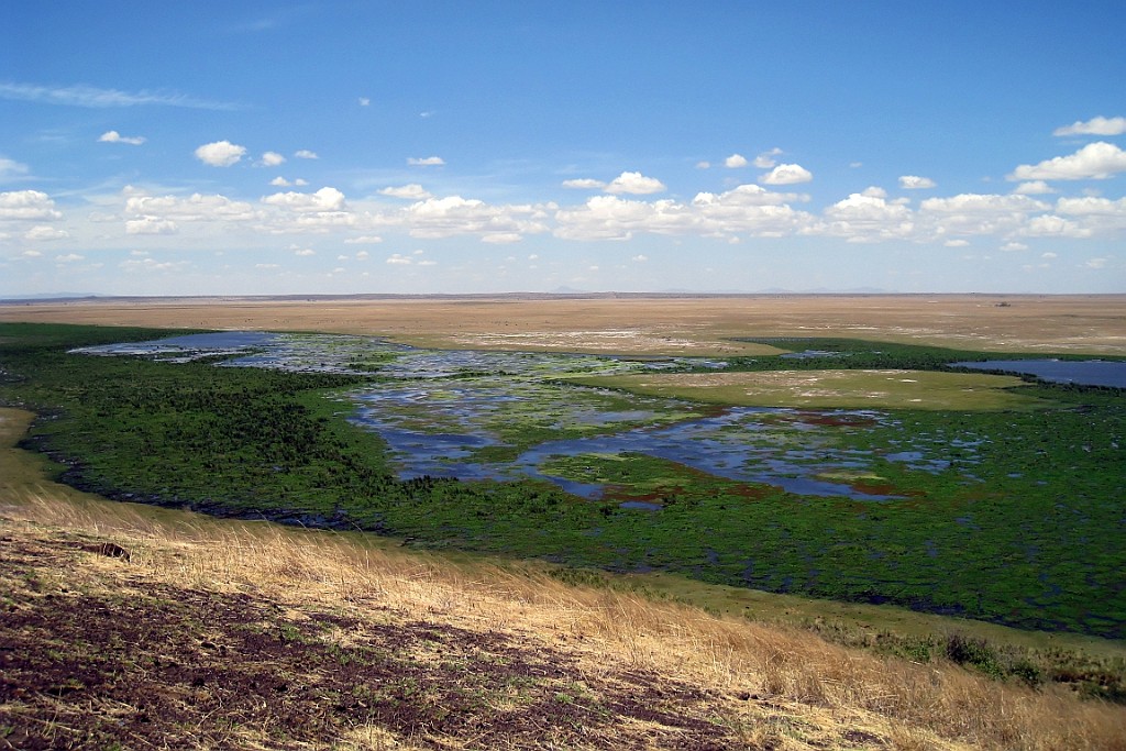 Kenia (221).jpg